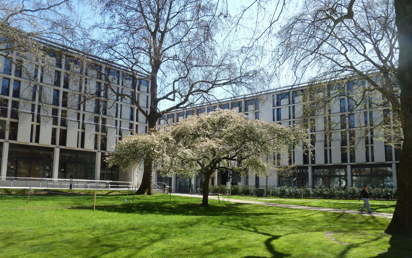 selkirk college